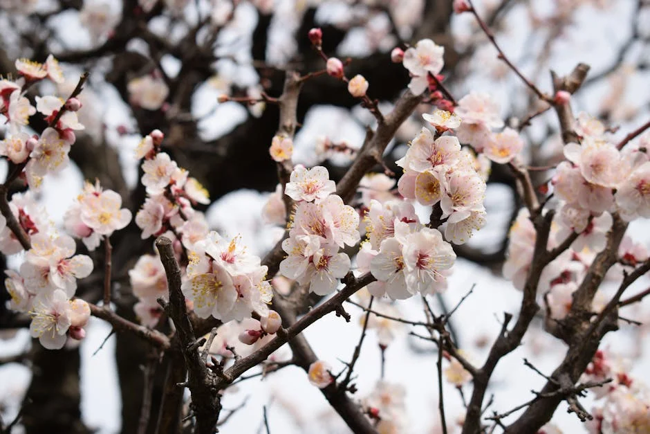 Fire Destroys Three Cars in Ajuda: Community Faces New Challenges