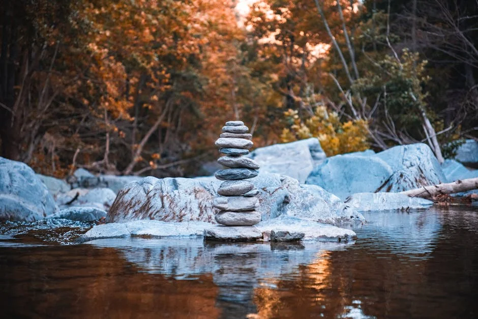 FirstRand Ups Dividend Amid Rising Earnings — What It Means for Nigeria's Economy — Economy Business