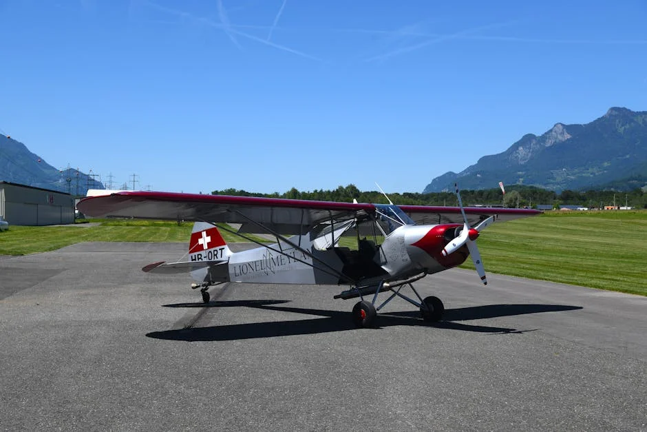 Former French PM Lionel Jospin Dies, Impact on Africa's Development Goals Revealed — Economy Business