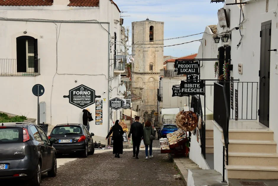 Fornos de Algodres Faces €3.5 Million Loss, Requests State of Calamity — Economy Business