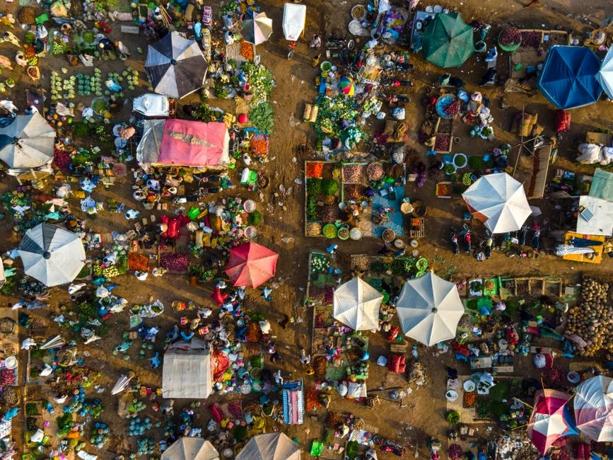 Four African Nations Crash Out of World Cup at Same Round — Fans Left Reeling