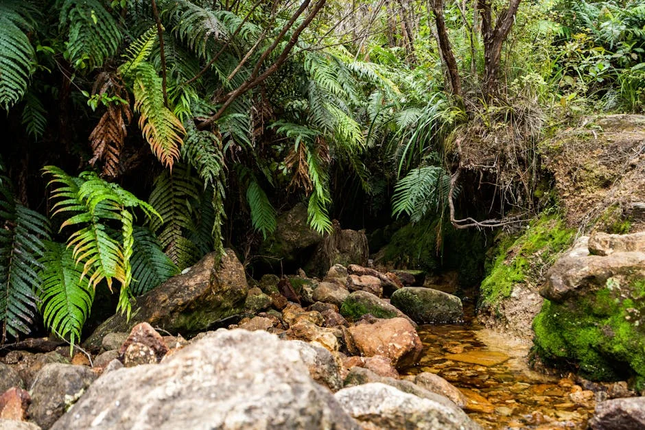 Fowey's Beaver Reintroduction Reshapes Landscapes, Boosts Eco-Tourism