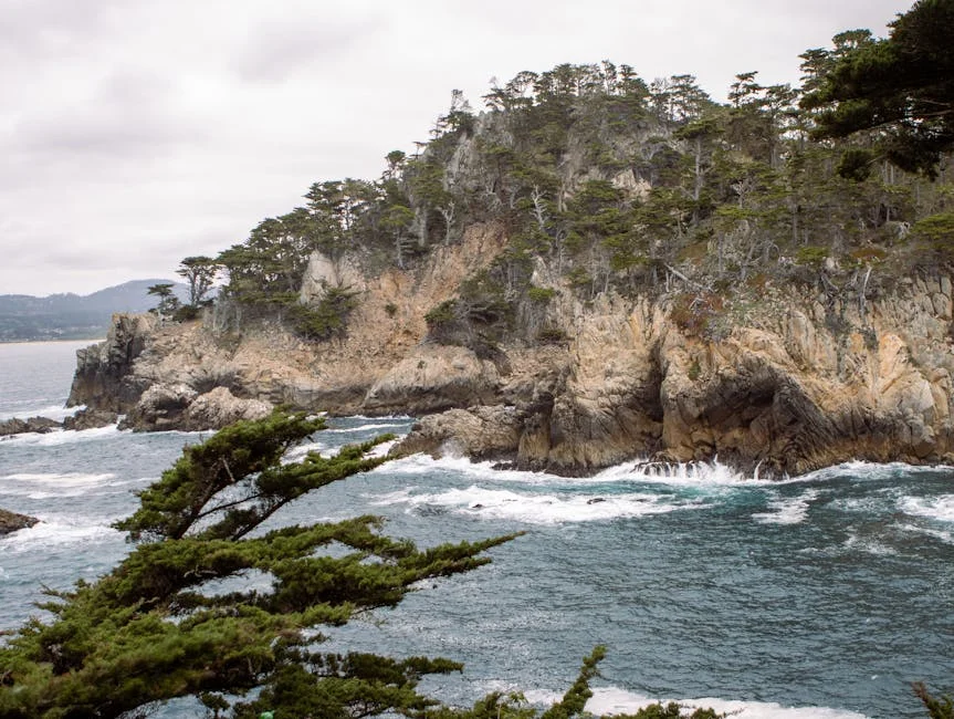 FPF Holds Moment of Silence for António Lobo Antunes: Honouring a Literary Giant