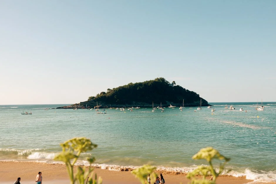 Francesco Farioli Warns Porto: Santa Clara's Developments Could Shift Nigerian Strategies — Economy Business