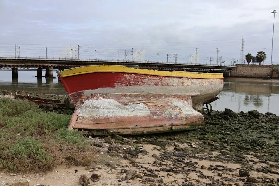 German Firm Hits €2M on Tejo River — A Lesson for African Waterways — Economy Business