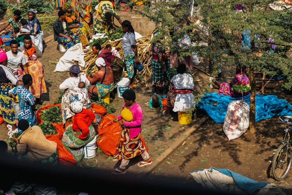 GSMA Coalition Launches Low-Cost 4G Devices — A Game Changer for Africa's Connectivity — Economy Business