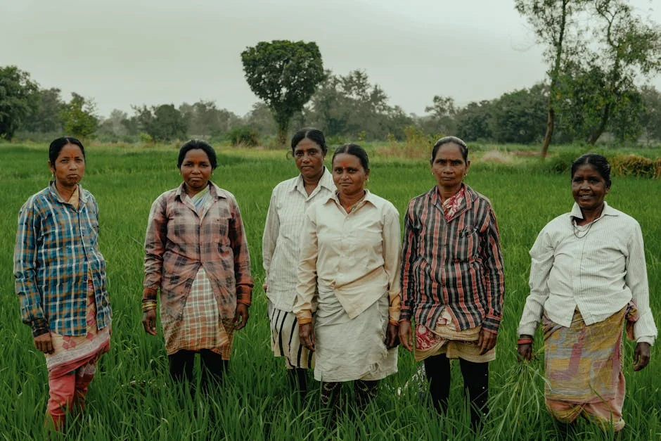 Gujarat Farmers Face Drought as Monsoon Fails – Crop Yields Plunge 40% — Economy Business