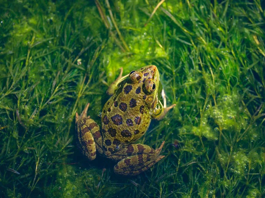 Harish Rana's Family Bids Goodbye Before Dignified Death — Economy Business