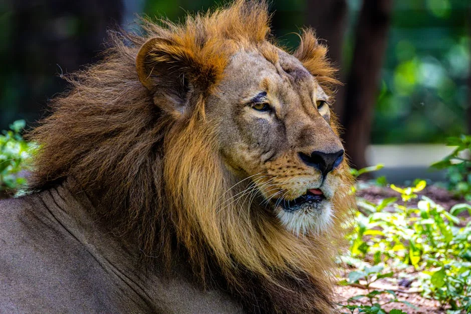 Harish Rao slams Frequent Transfers in Telangana Governance — What It Means for Progress — Economy Business