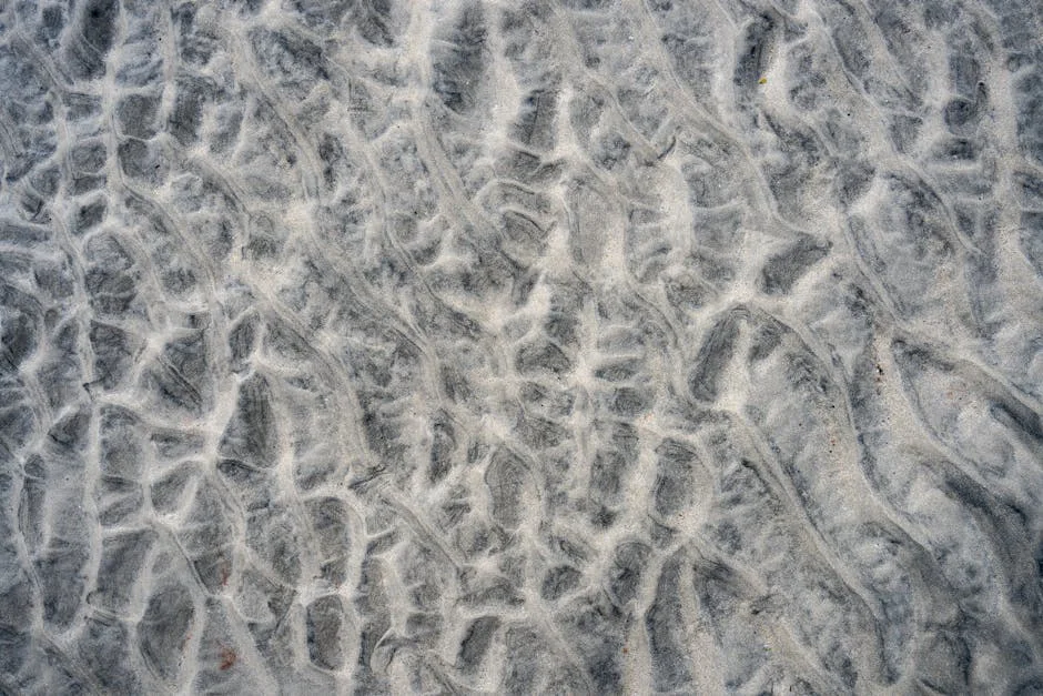 Harry and Meghan’s Humanitarian Trip to Jordan: Implications for Africa — Economy Business