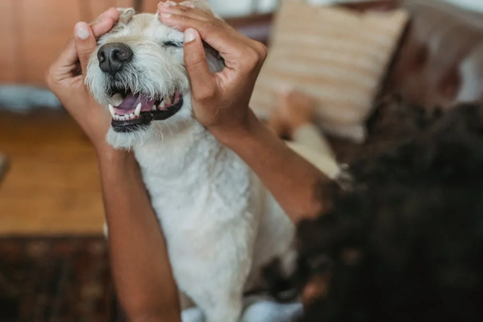 Health Experts Warn: Strokes Aren't Just for the Elderly — Here's How to Spot Them — Economy Business