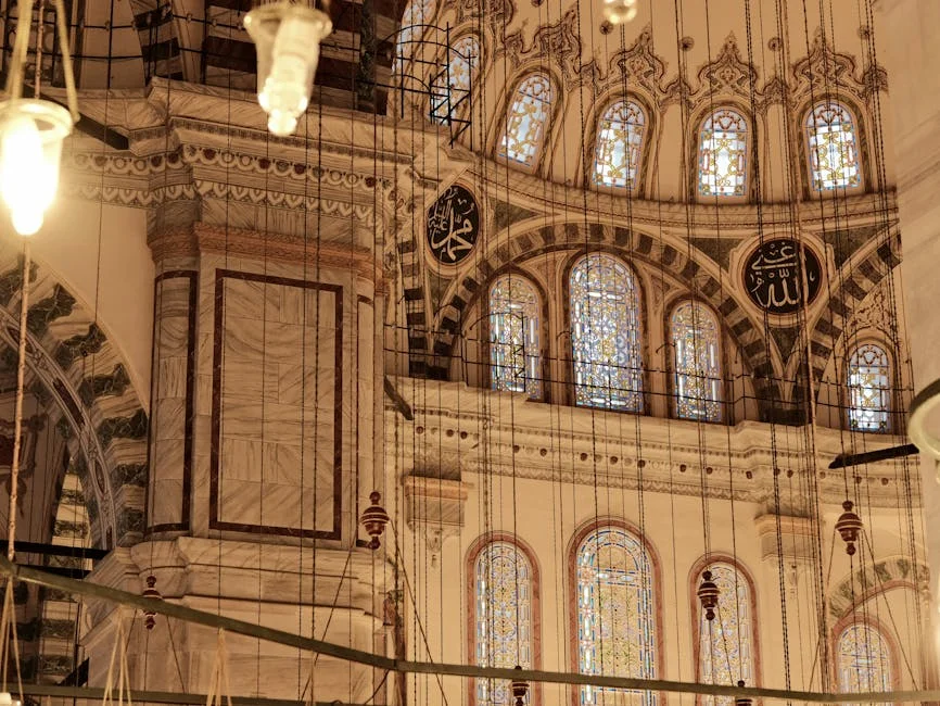 Hospital São Francisco Xavier Exposes Neglect: Women Left with Forgotten Compressas — Health Medicine