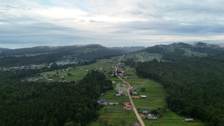 HRW Exposes Rwandan Forces’ Brutality in Uvira — Health Medicine