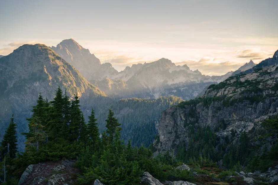 India and Washington Kick Off Three-Day Trade Talks in April — Economy Business