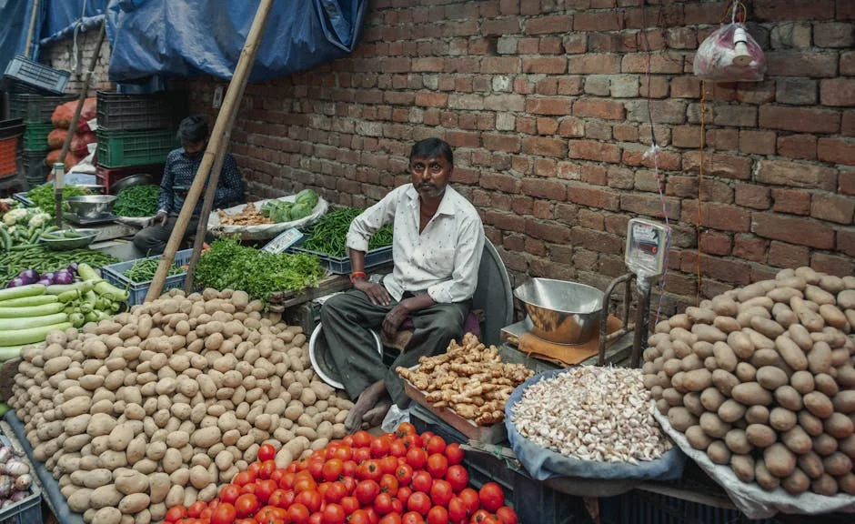 India Turns to Nigeria for Soybeans Amid Rising Domestic Demand