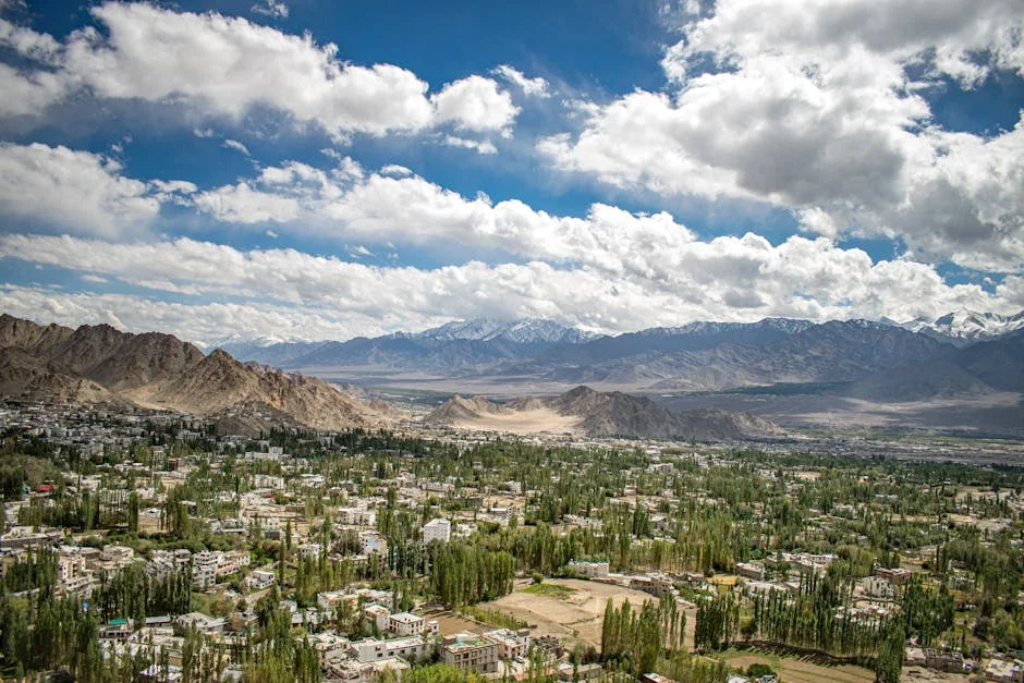 India Withdraws From Hosting 2028 Climate Summit Amid Uncertainty — Environment Nature