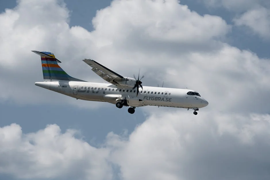 Indian Man Charged Over Australia Flight Assault — Will Face Legal Consequences — Economy Business