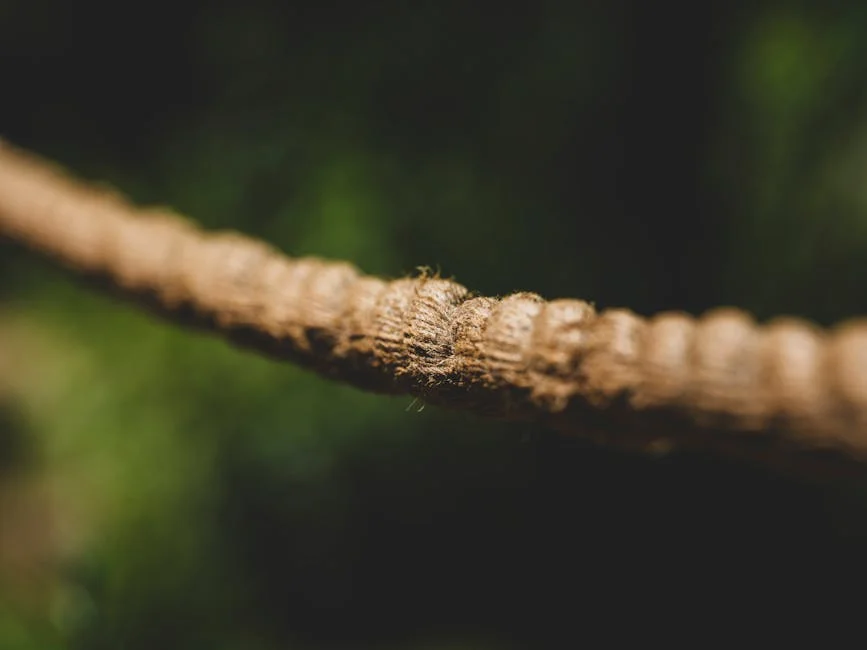 Indian Sailors Reveal Fears as They Remain Stuck Off Iran's Coast - December Update