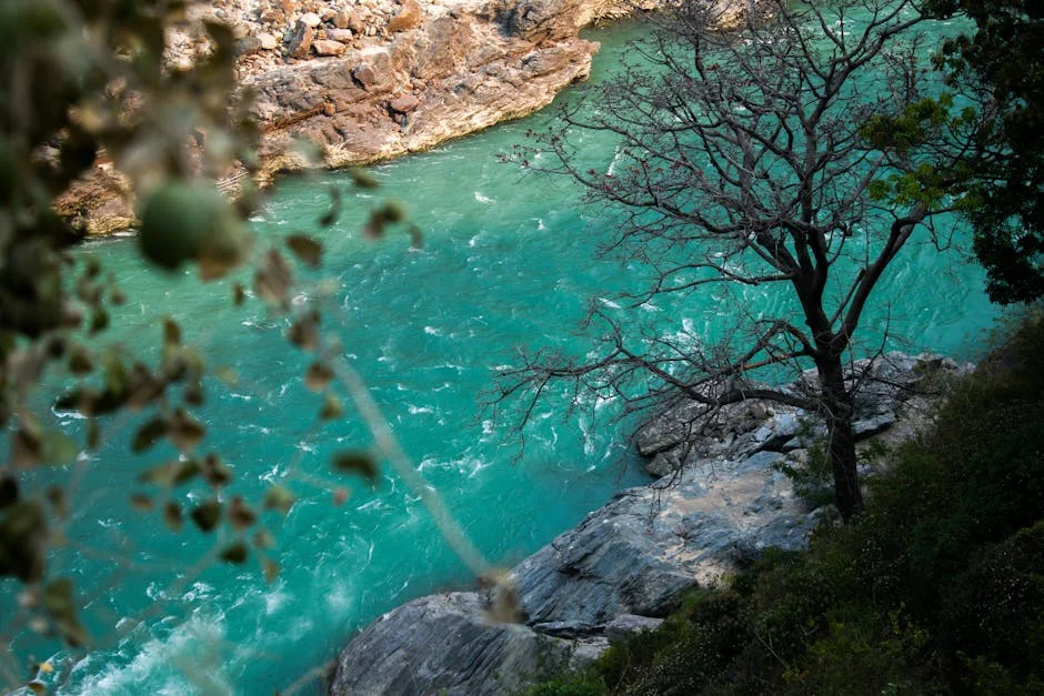 India's IMD Warns of Record Heatwave in Panagarh, Rajasthan — Economy Business