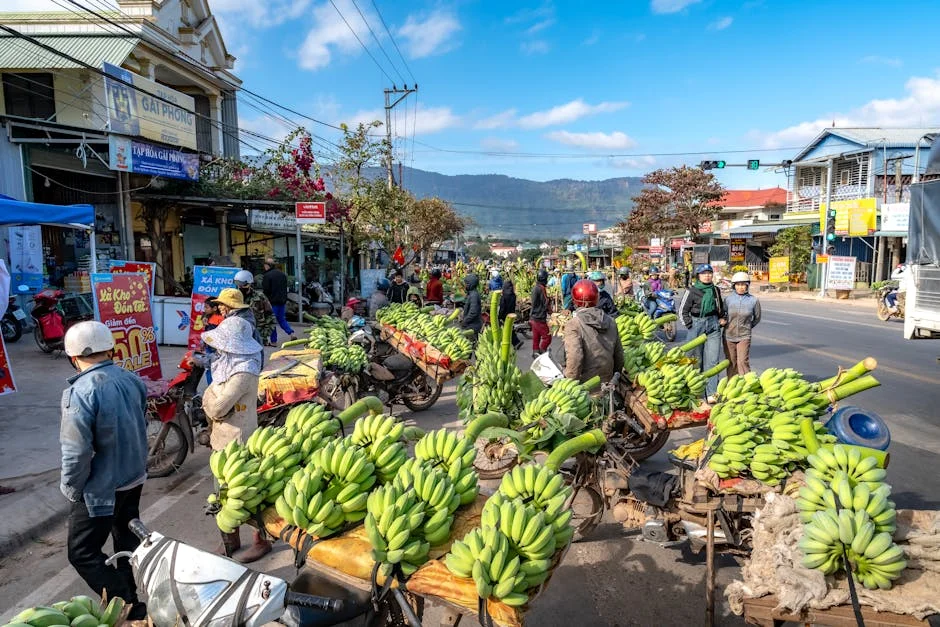 India's Mon Market Moves Send Ripples Across Africa — Economy Business