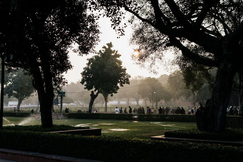 India's SIP Policy Sparks Debate on Nigeria's Investment Strategies — Economy Business