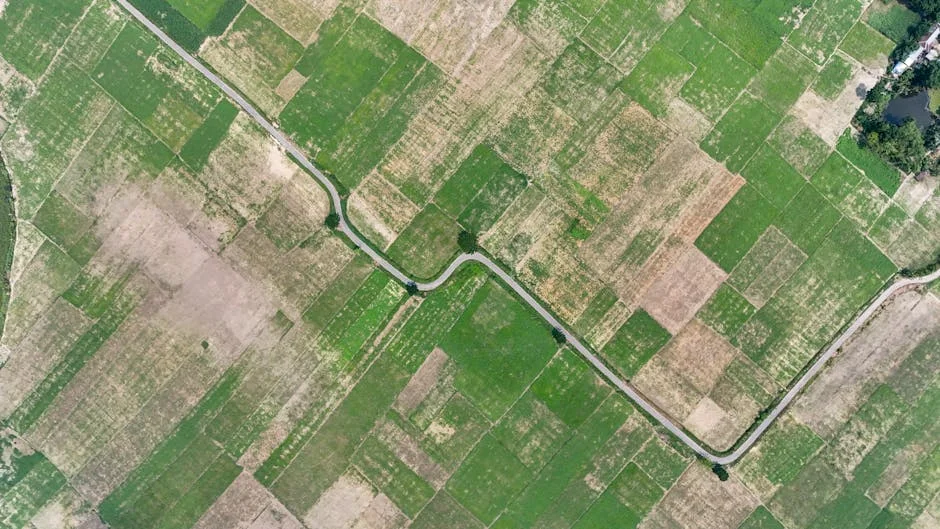 Iran-U.S. Tensions Escalate as Regional Dynamics Reshape African Trade Routes