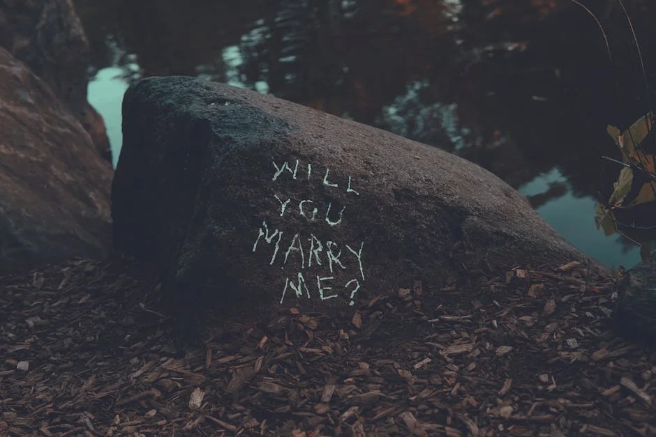 Iran's Nuclear Proposal: Implications for African Development Goals — Economy Business