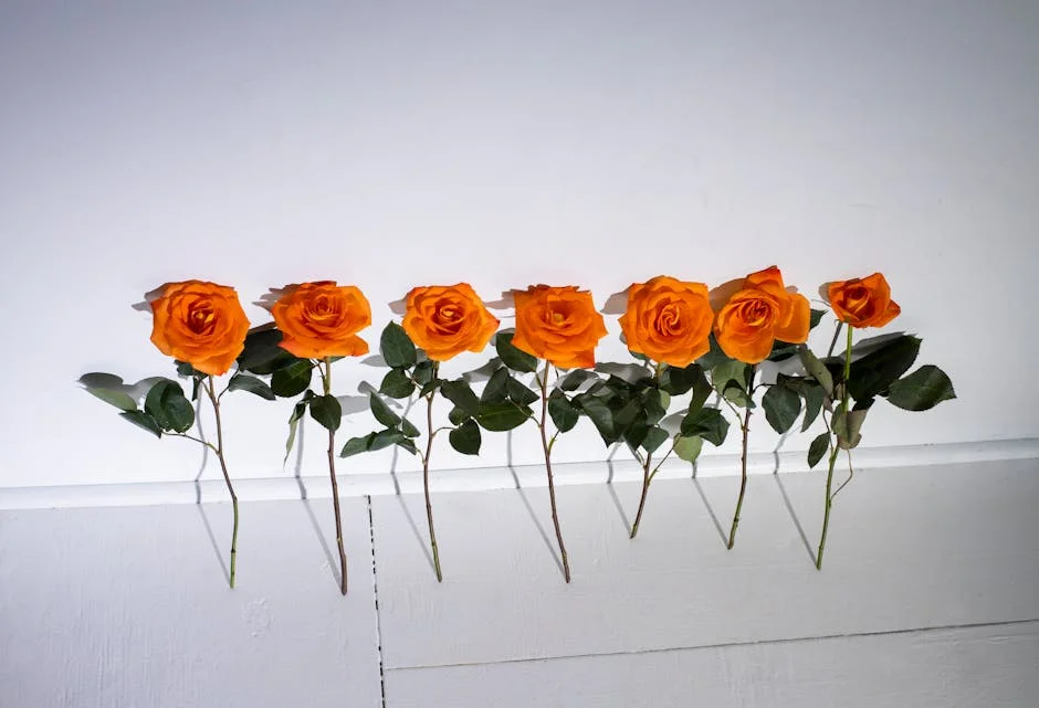 Iraola Leaves Legacy for Marco Rose in Europa Move — Economy Business