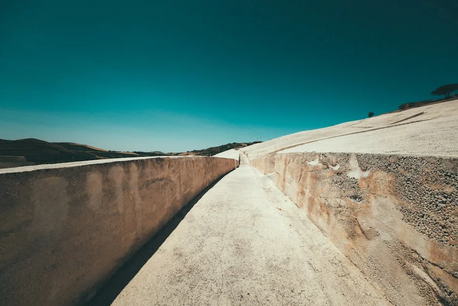 Isabel Moreira Exposes Anti-Women Sentiments in Feminism — What It Means for Nigeria — Economy Business