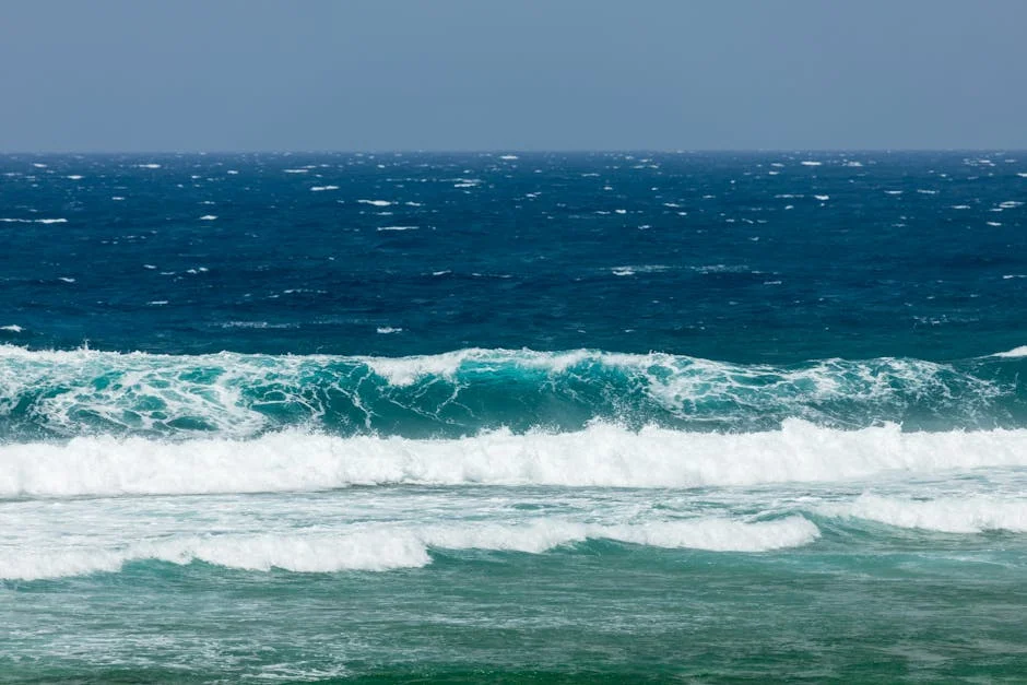 Japan Lifts Tsunami Warning After 7.4-Magnitude Quake — Economy Business