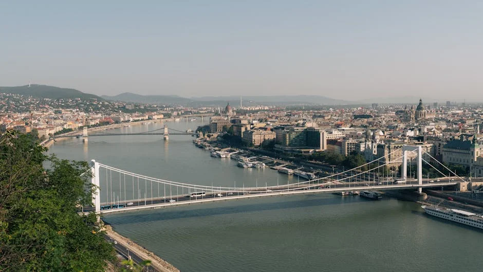 Joburg Residents Slam Sky-High Bills After City Power Billing Changes - Analysis of Impact on African Development — Environment Nature