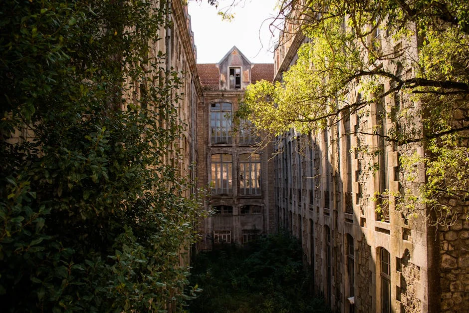 Justice Minister Rita Reveals Leiria Prison School May House Displaced Families: What It Means for Recovery — Economy Business