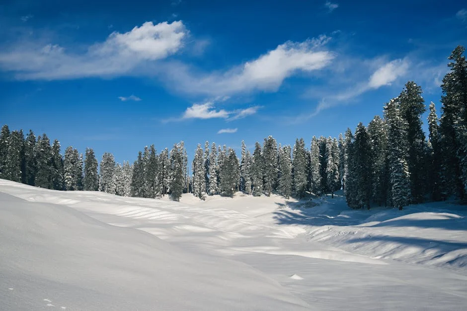 Kashmir Snow, Central India Heat — What's in Store for Saturday