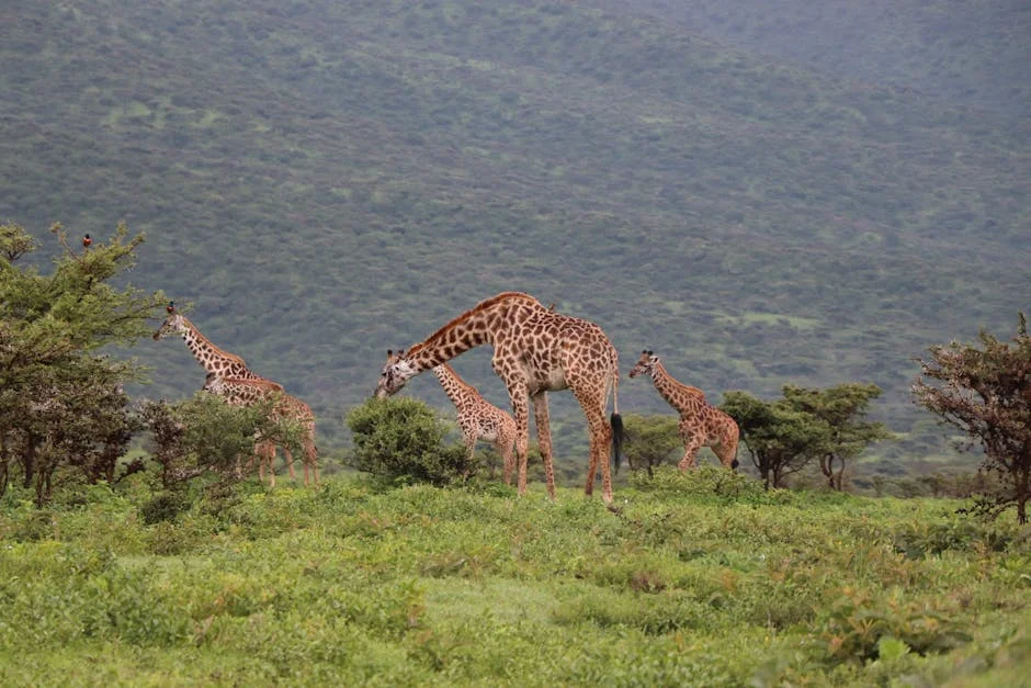 Kenya Rejects Tourism Clichés, Launches Rural Marathon Initiative — Politics Governance