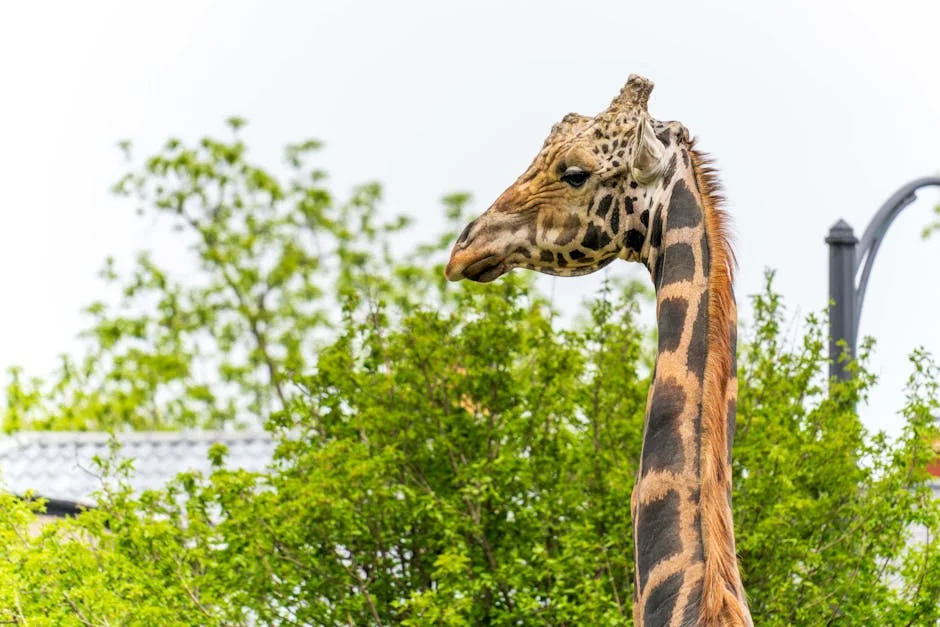 Kenya Warns of Economic Fallout from Escalating Middle East Conflict: What’s at Stake? — Economy Business