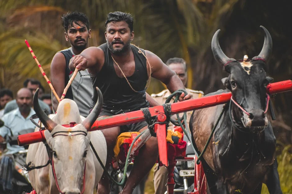 Kerala's Vattiyoorkavu Polls Spark Tripartite Battle — Economy Business