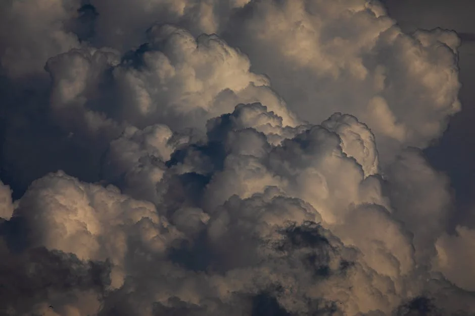 Kidnappers Target Foreigners in Sahel: What It Means for Regional Stability