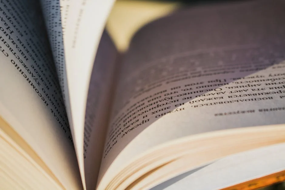 Kosovo's World Cup Qualifier Sparks Global Debate — What Does It Mean for Africa? — Economy Business