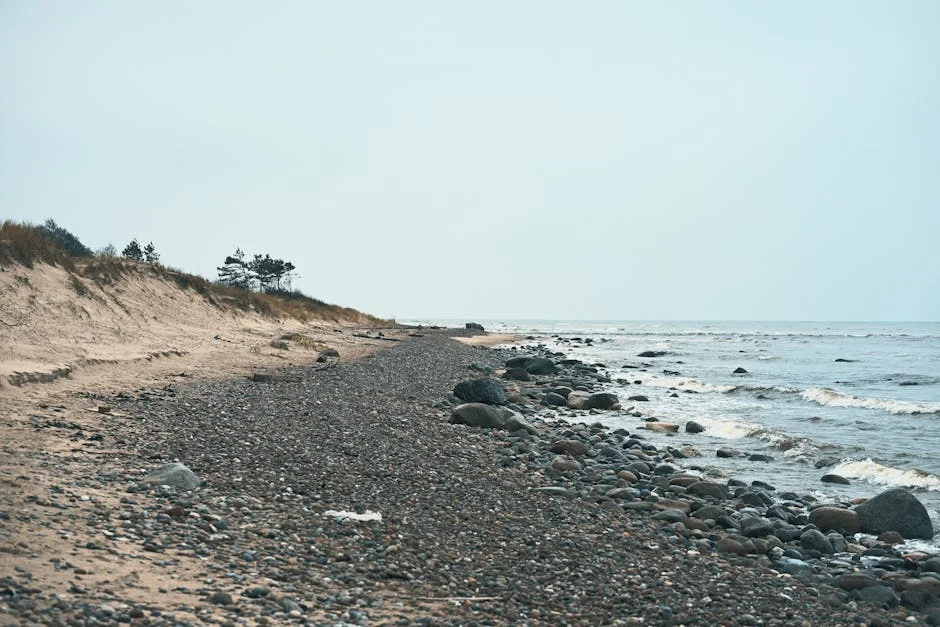Latvia Activates NATO Alerts After Drone Incursion Near Border — Technology Innovation