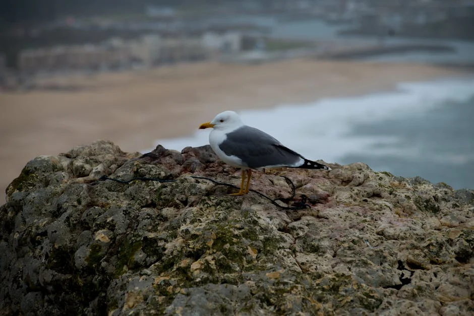 Leiria's Economy Crashes 30% in Two Hours: What It Means for Africa — Economy Business