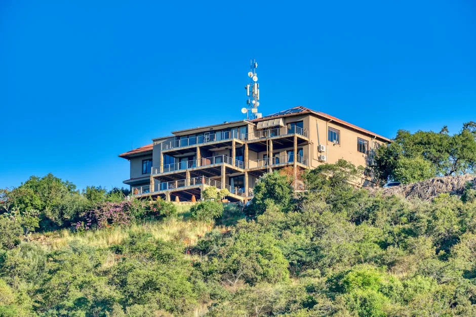 Lesufi Steps Away From Lerato Madyo Controversy - What It Means For African Development — Health Medicine