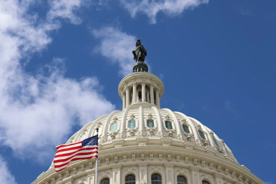 Liberals and Nationals Prefer One Nation in Farrer Byelection Blow — Economy Business