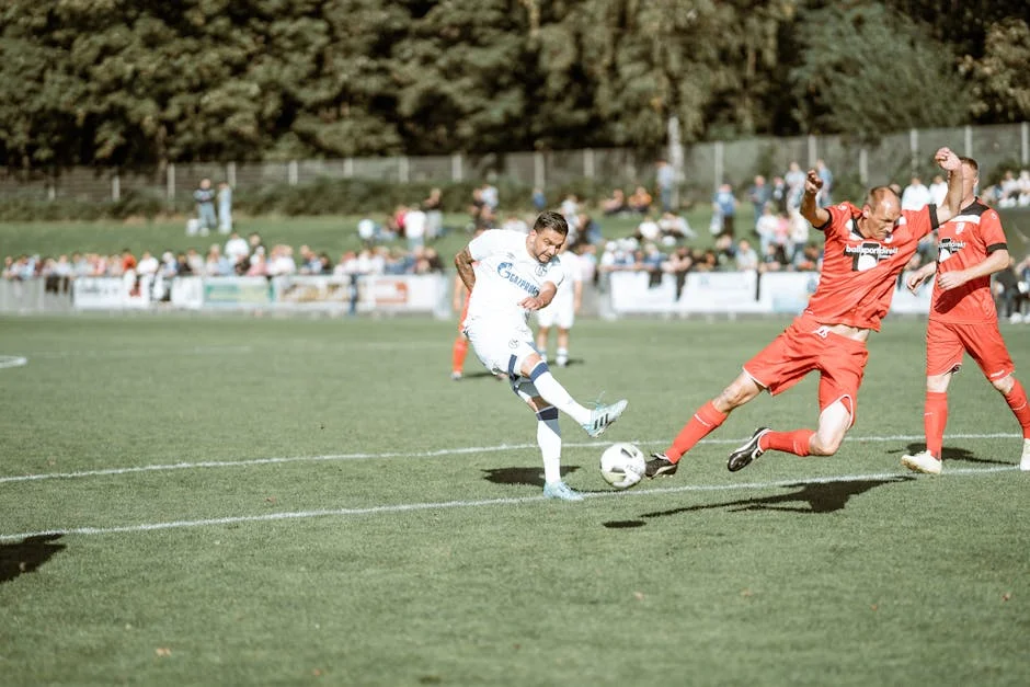 Lille FC Announces New Coach Ahead of Crucial Match — Economy Business