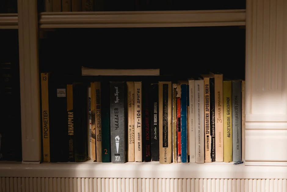 Limpopo Blames Human Error for 22 Road Deaths During Easter Rush