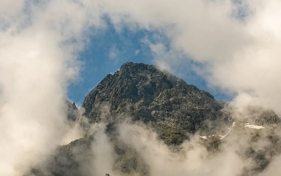 Locals Discover Human Skull in Braga Forest: What It Reveals About Safety — Economy Business