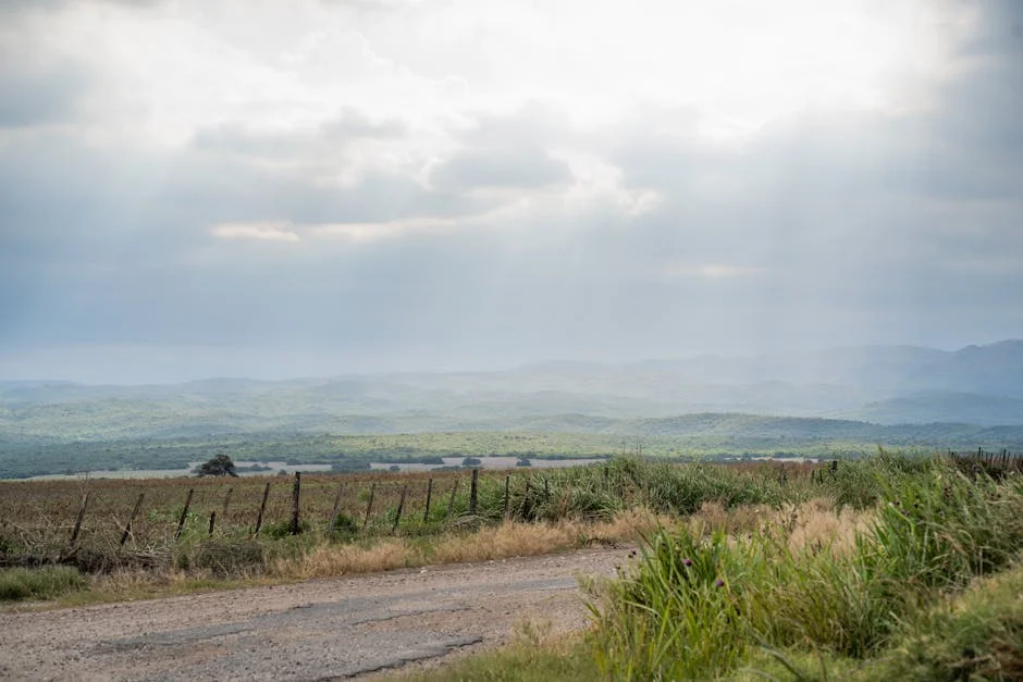 Mário Ramos acquires 50.1% stake in Seguramos: what it means for Portugal and Nigeria — Economy Business