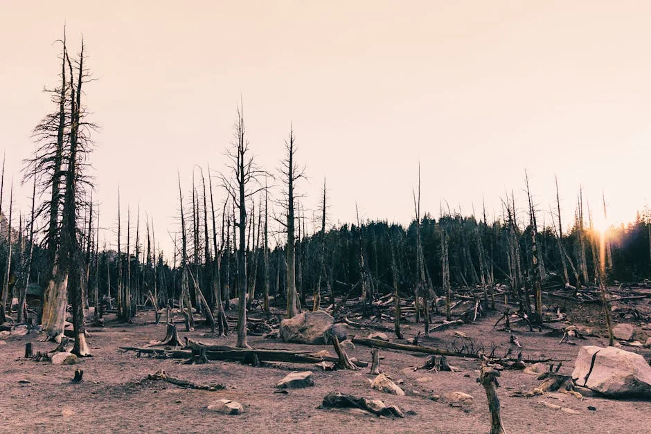 Mark Carney Mocks Canadian Rally Attendance After Modi's 250K — What It Means for Nigeria — Politics Governance