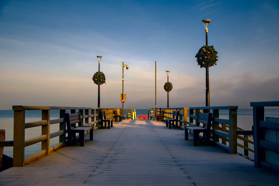 Martim Guedes Reveals Ambitious Plans for Chama: What It Means for Nigeria — Economy Business