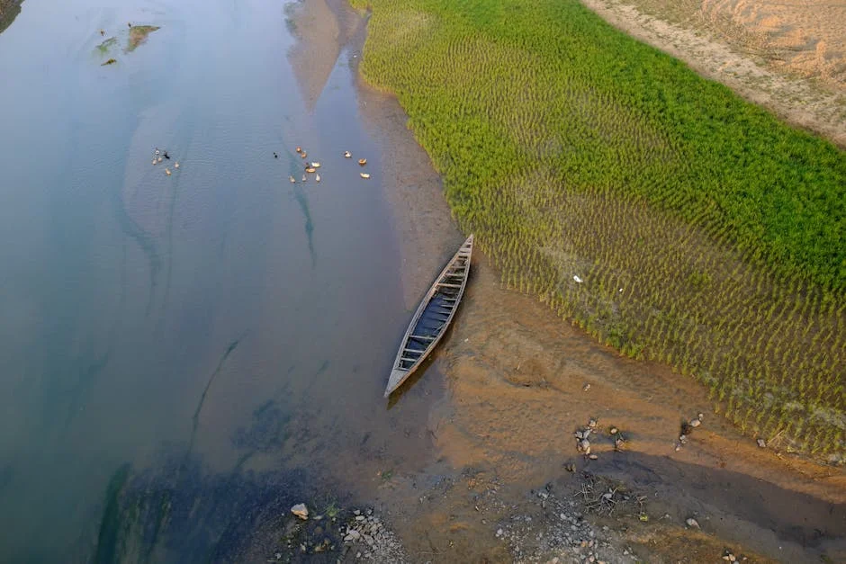 Mayor of Maqongqo Bans Water Driver for Selling Free Supply — Economy Business