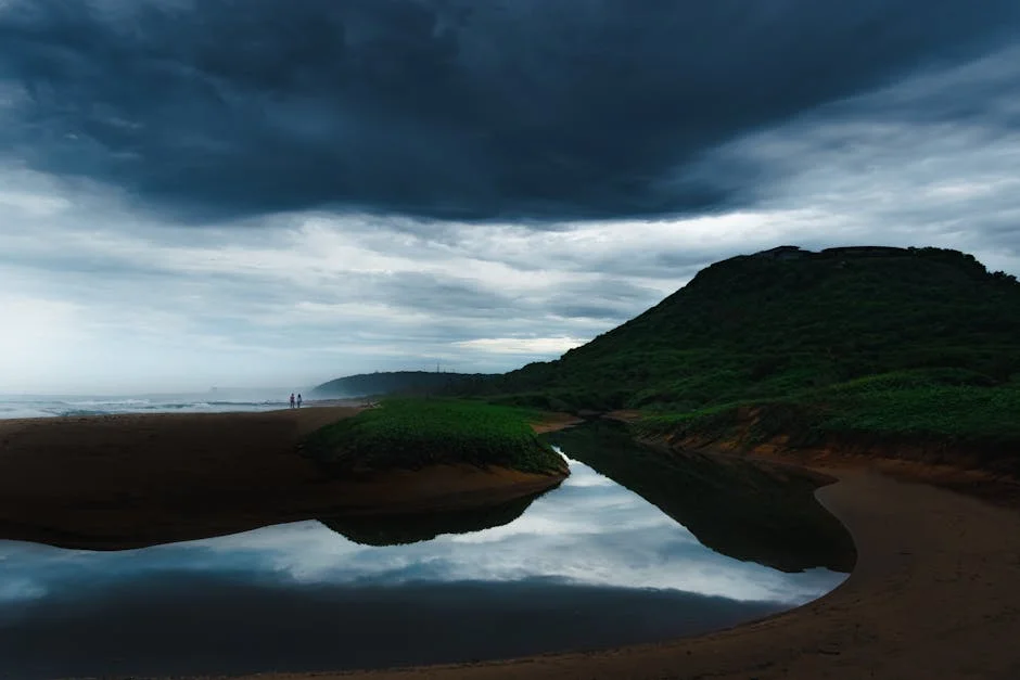 Met Department Warns Andhra Residents of Thunderstorms and Gusty Winds Ahead — Economy Business
